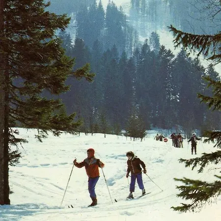 Апартаменты Les Lilas *